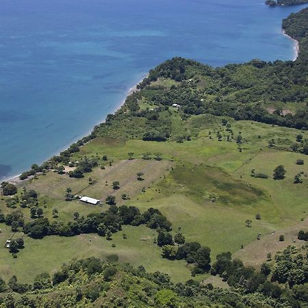 Hotel Punta De Aguila Necoclí Eksteriør bilde